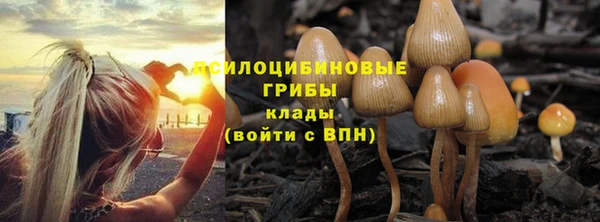 скорость Михайлов
