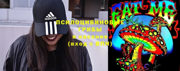 молекула духа Михайловка