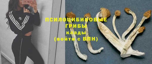 сатива Болохово