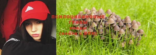 синтетический гашиш Болхов