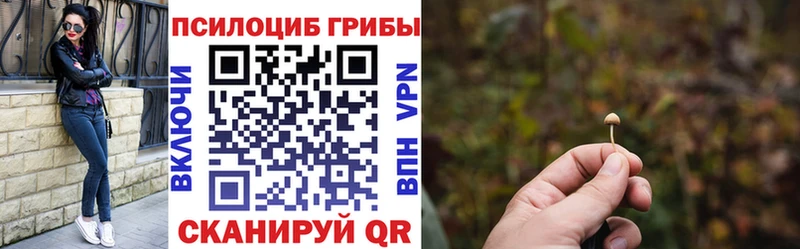 Галлюциногенные грибы мицелий Новокубанск